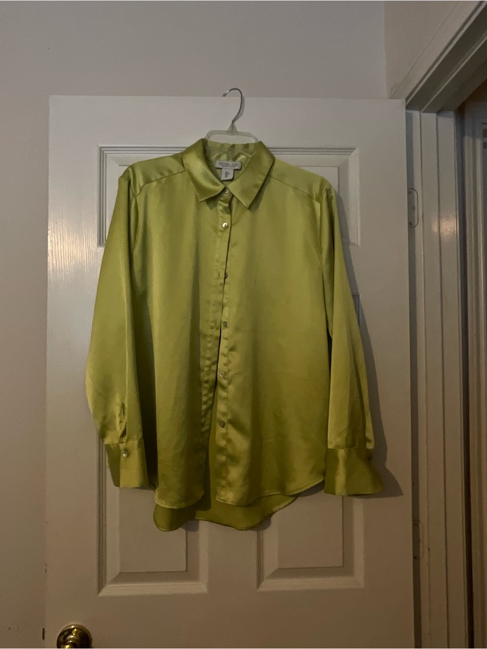Silk Button-Front Shirt in Lime Green